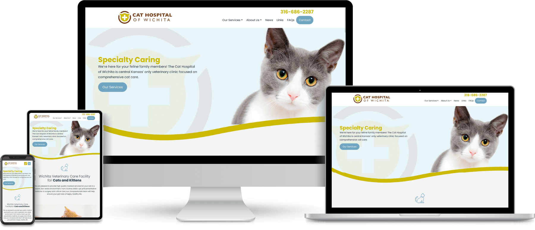 Cat Hospital of Wichita website shown on desktop, laptop, tablet and mobile devices.